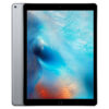 iPad Pro 12.9 1e Gen Grey