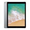 iPad Pro 12.9 2e gen Grey